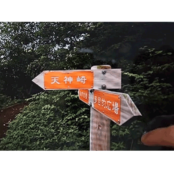 gif Matsushima