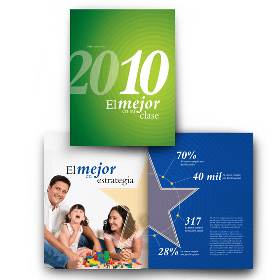 Informe anual Geo 2010