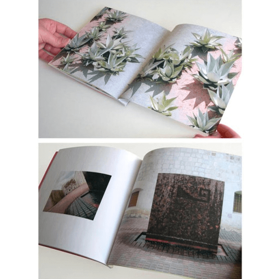 Libro foto album Oaxaca